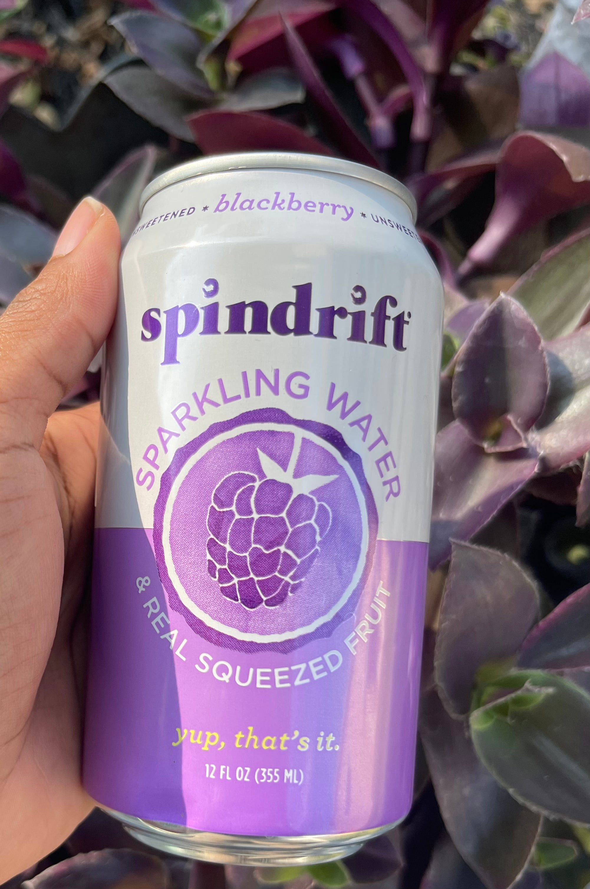 Blackberry Sparkling Water